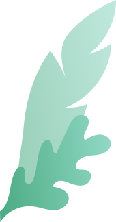 App NR